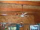 388 Back Cam Road, Somerset TAS 7322