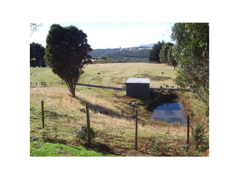 685 Ridgley Highway, Ridgley TAS 7321