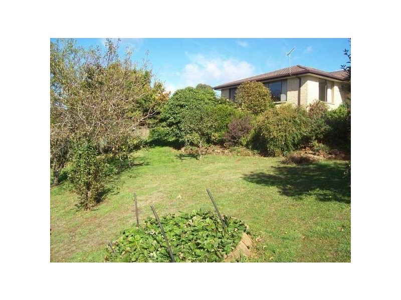 685 Ridgley Highway, Ridgley TAS 7321