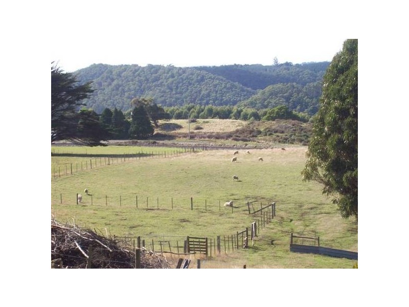 685 Ridgley Highway, Ridgley TAS 7321