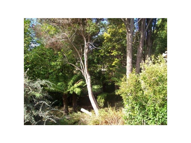 1338 Murchison Highway, Yolla TAS 7325