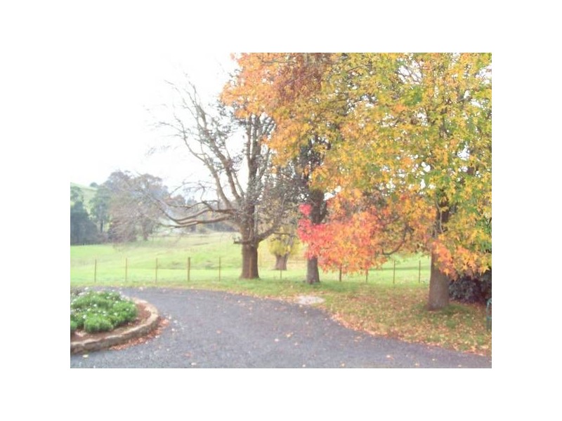 186 Creamery Road, Sulphur Creek TAS 7316