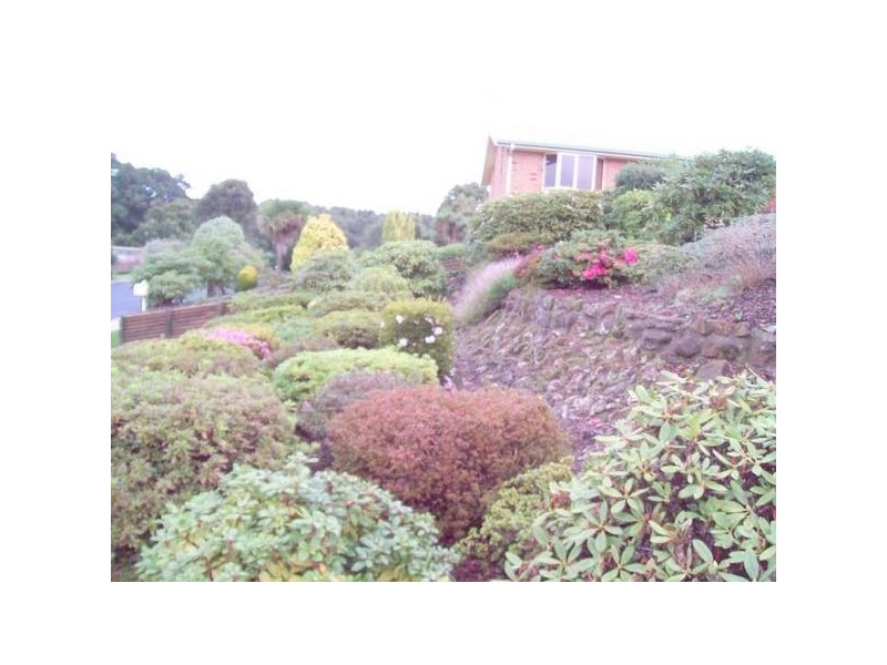 54 Blackwood Parade, Burnie TAS 7320