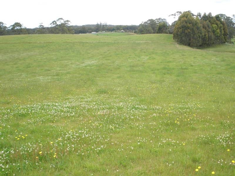 221 Preolenna Road, Moorleah TAS 7325