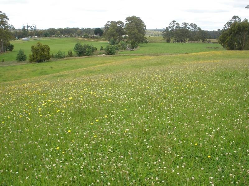 221 Preolenna Road, Moorleah TAS 7325