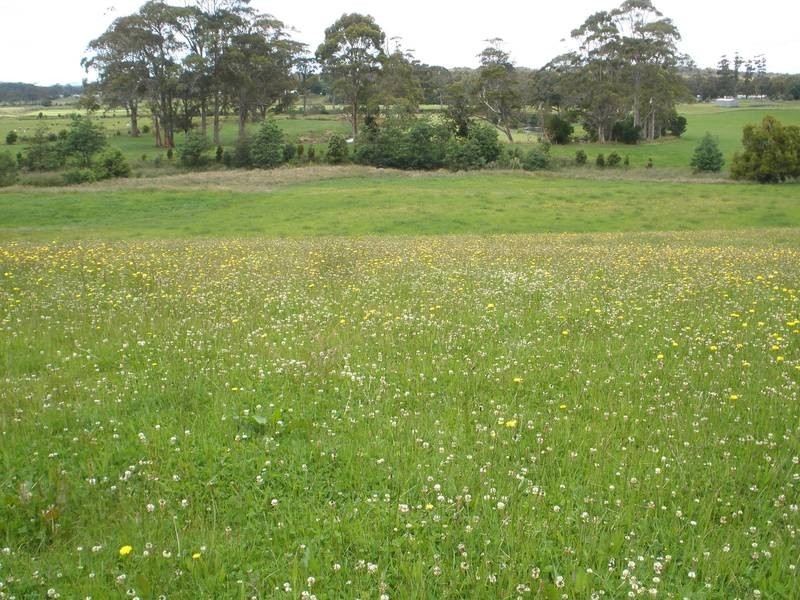 221 Preolenna Road, Moorleah TAS 7325