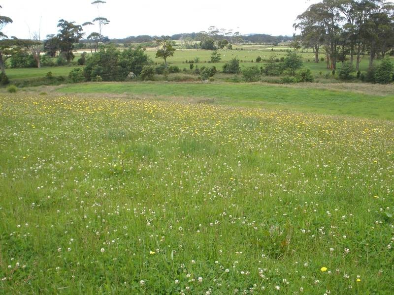 221 Preolenna Road, Moorleah TAS 7325
