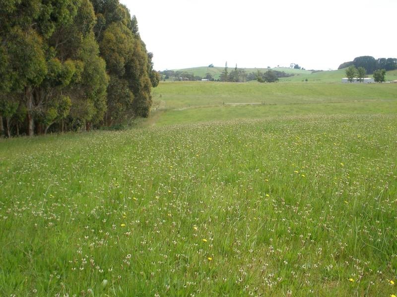 221 Preolenna Road, Moorleah TAS 7325
