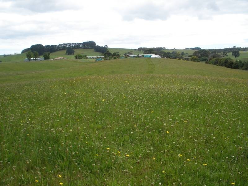 221 Preolenna Road, Moorleah TAS 7325