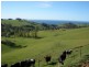 341 Creamery Road, Penguin TAS 7316