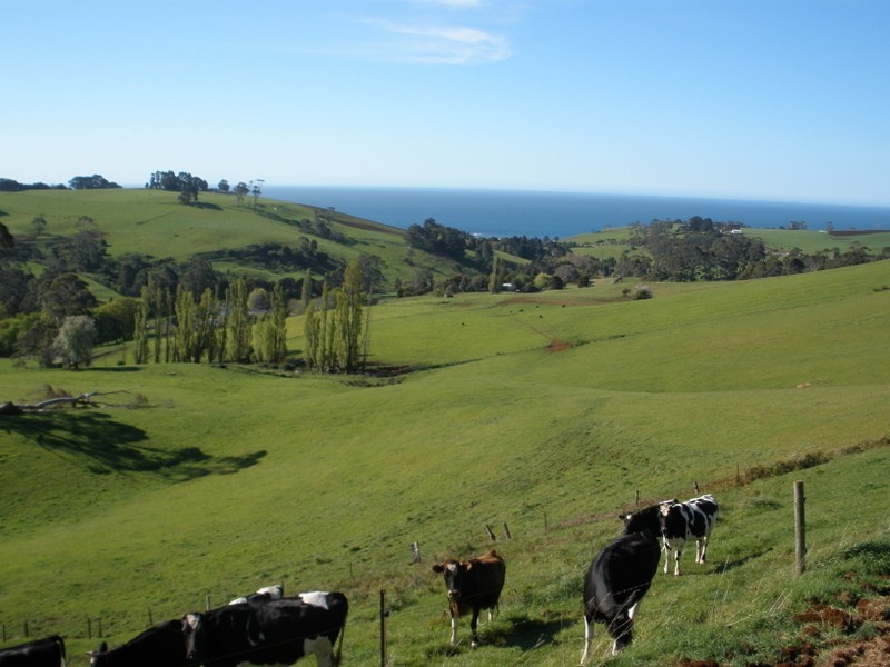 341 Creamery Road, Penguin TAS 7316