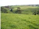 341 Creamery Road, Penguin TAS 7316