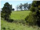 Anderson’s Road, Wynyard TAS 7325