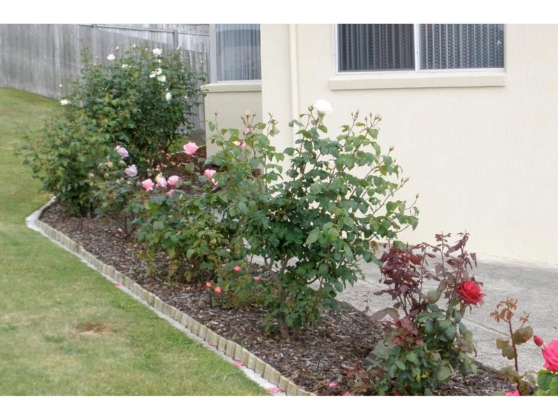 20 Colegrave Road, Burnie TAS 7320