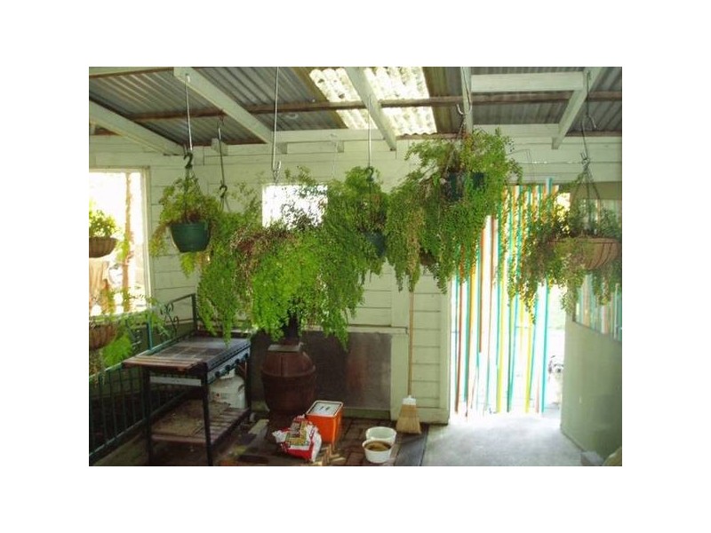 Rosebud West VIC 3940