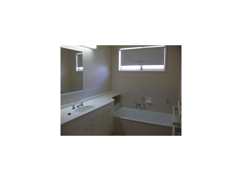 29 Hawke Ave, Collingwood Park QLD 4301