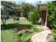 2 Theodore Court, Collingwood Park QLD 4301