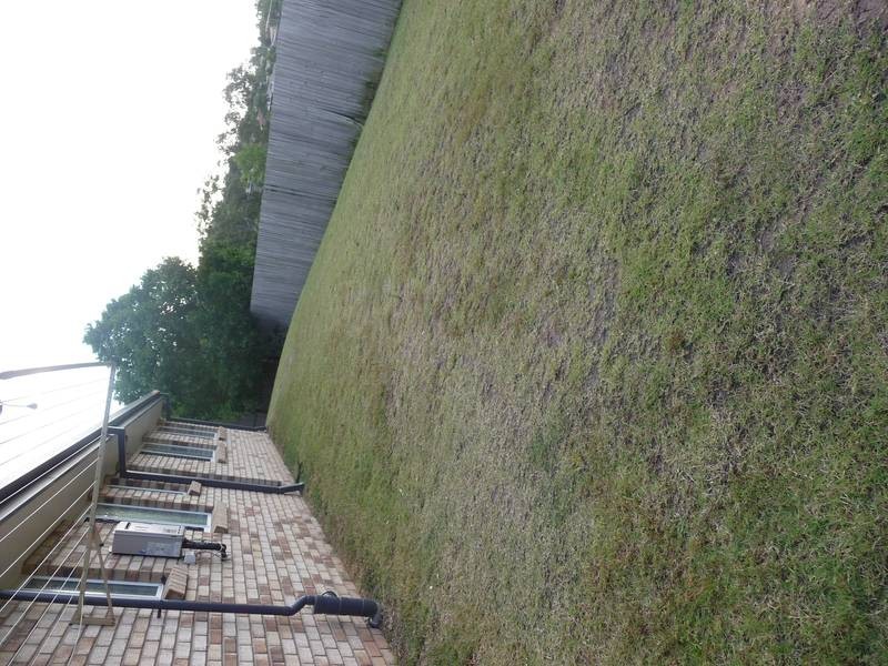 11 Donohue Court, Collingwood Park QLD 4301