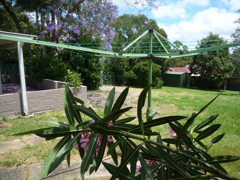 45 Collingwood Drive, Collingwood Park QLD 4301