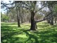 LOT 5 PIONEER TOURIST PARK, Deniliquin NSW 2710