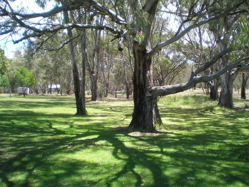 LOT 5 PIONEER TOURIST PARK, Deniliquin NSW 2710