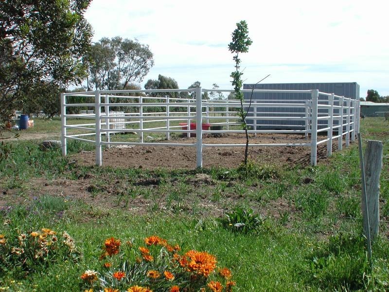 38 Francis, Deniliquin NSW 2710