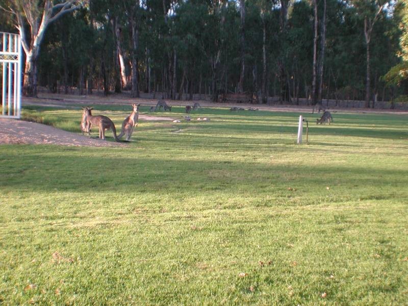 59 Tarragon Lodge, Mathoura NSW 2710