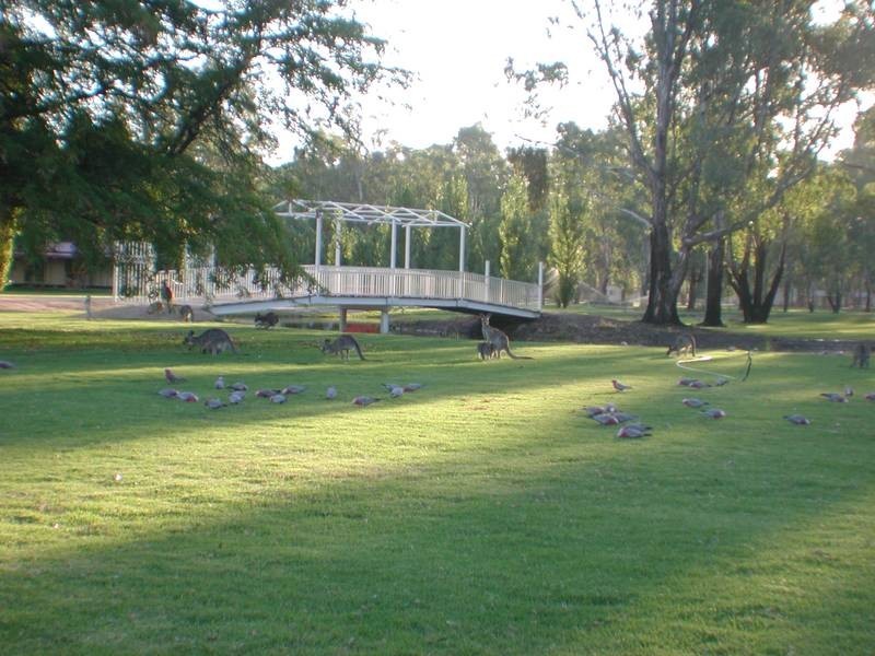 59 Tarragon Lodge, Mathoura NSW 2710