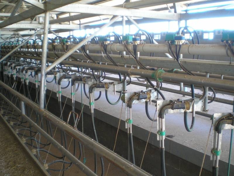 71 Bushfield Road, Berrigan NSW 2712