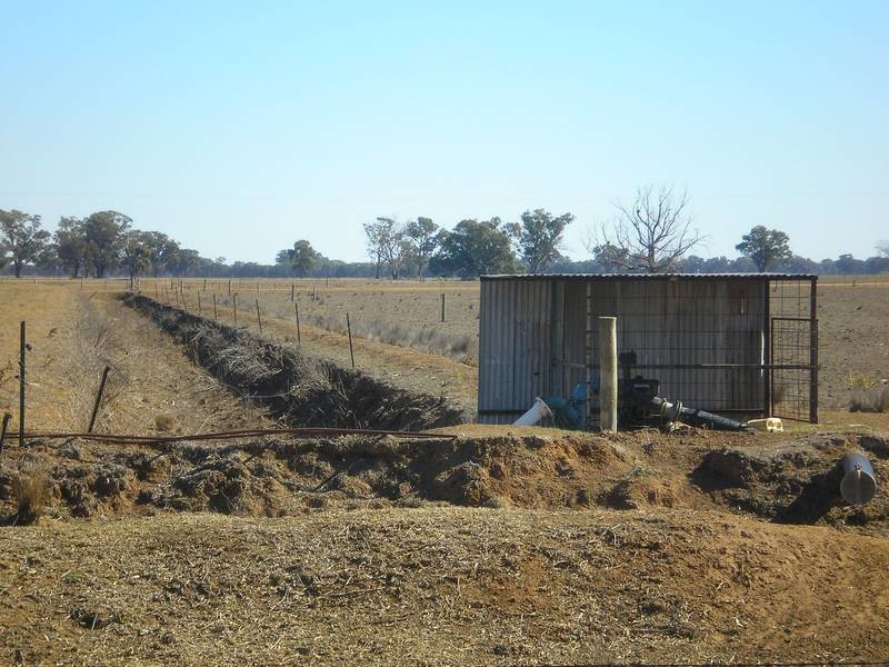 71 Bushfield Road, Berrigan NSW 2712