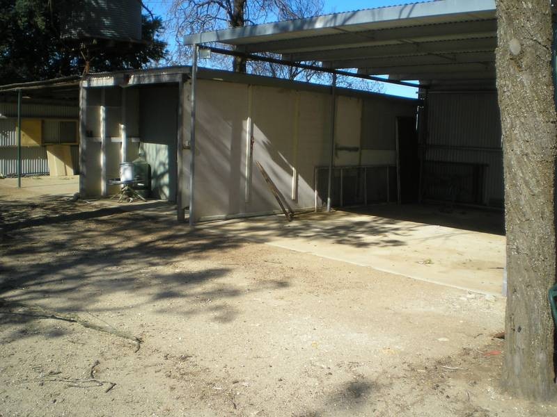 71 Bushfield Road, Berrigan NSW 2712