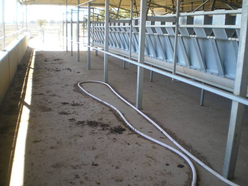 71 Bushfield Road, Berrigan NSW 2712