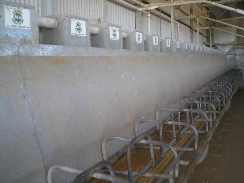 71 Bushfield Road, Berrigan NSW 2712