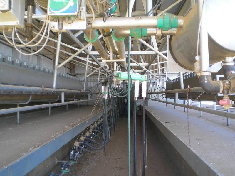 71 Bushfield Road, Berrigan NSW 2712