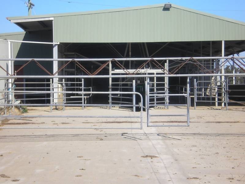 71 Bushfield Road, Berrigan NSW 2712