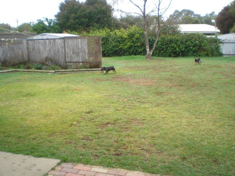 537 Poictiers Street, Deniliquin NSW 2710