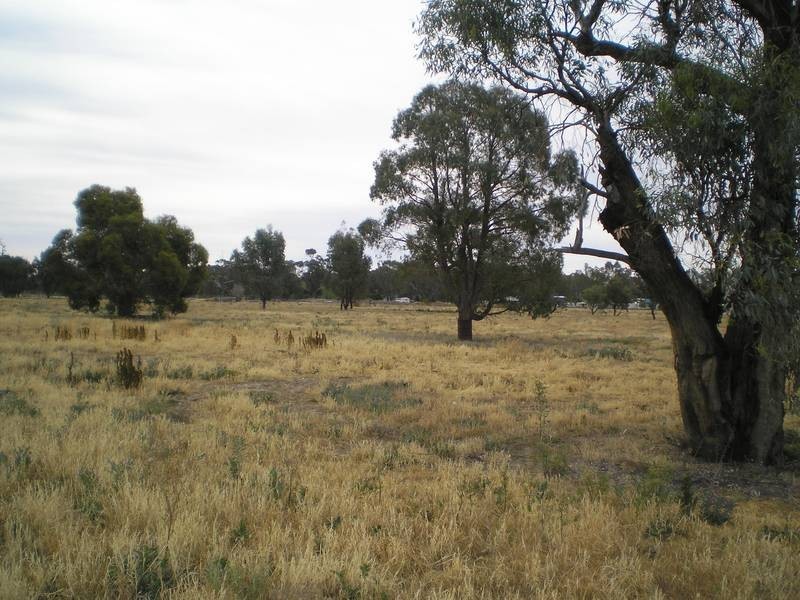 Lot 2,  Ochtertyre Street, Deniliquin NSW 2710