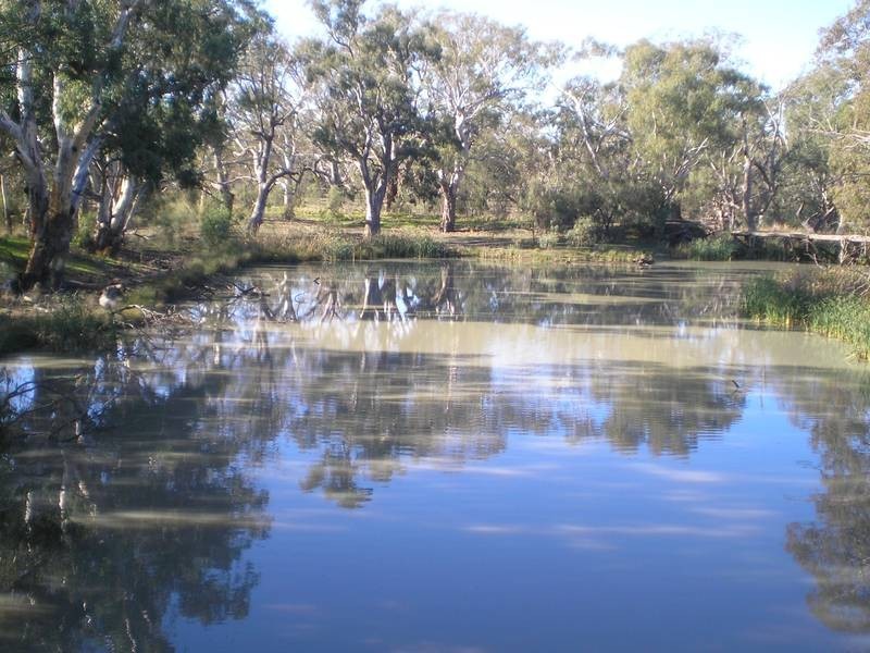 72 Carrathool Road, Conargo NSW 2710