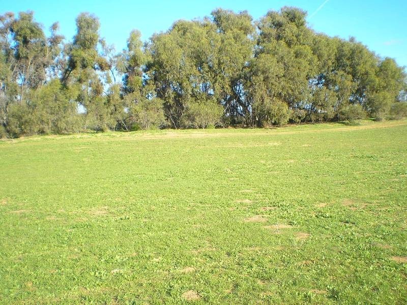 72 Carrathool Road, Conargo NSW 2710