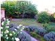 217 Cressy, Deniliquin NSW 2710