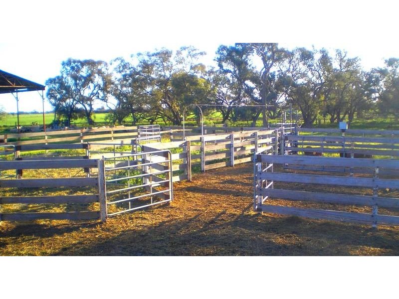 1 Moonie Swamp Road, Deniliquin NSW 2710