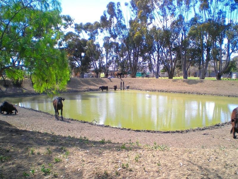 1 Moonie Swamp Road, Deniliquin NSW 2710