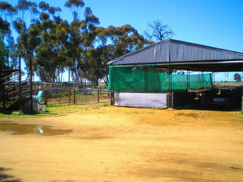 Lot 2,  Woodbury Road, Blighty NSW 2713