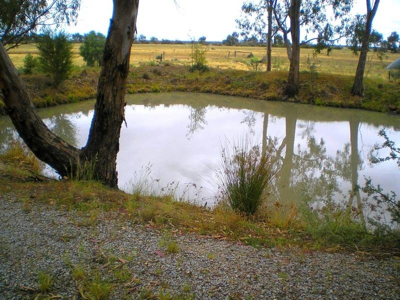 6 Lang Street, Wanganella NSW 2710