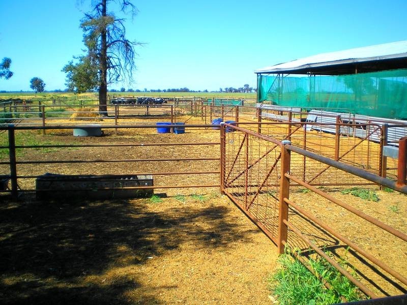 Lot 2,  Woodbury Road, Blighty NSW 2713