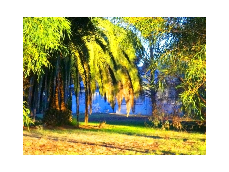 227 Barham Road, Wakool NSW 2710