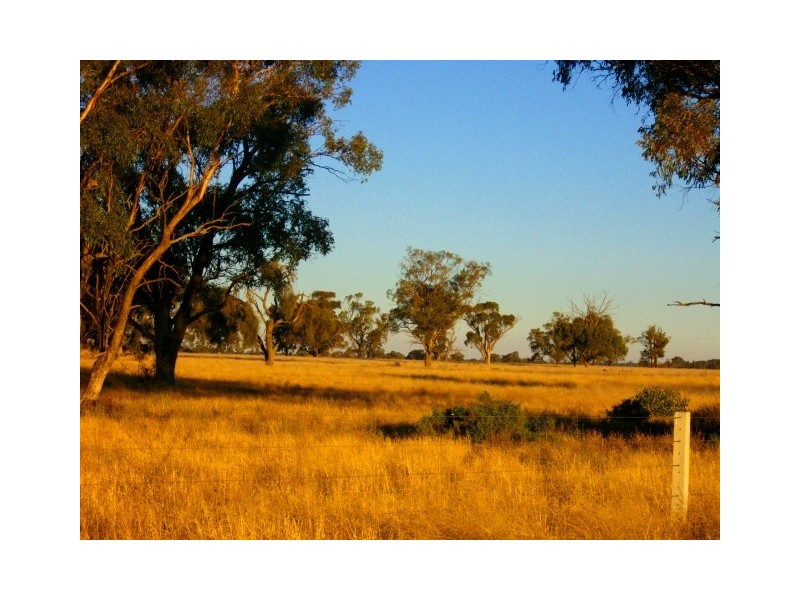 227 Barham Road, Wakool NSW 2710