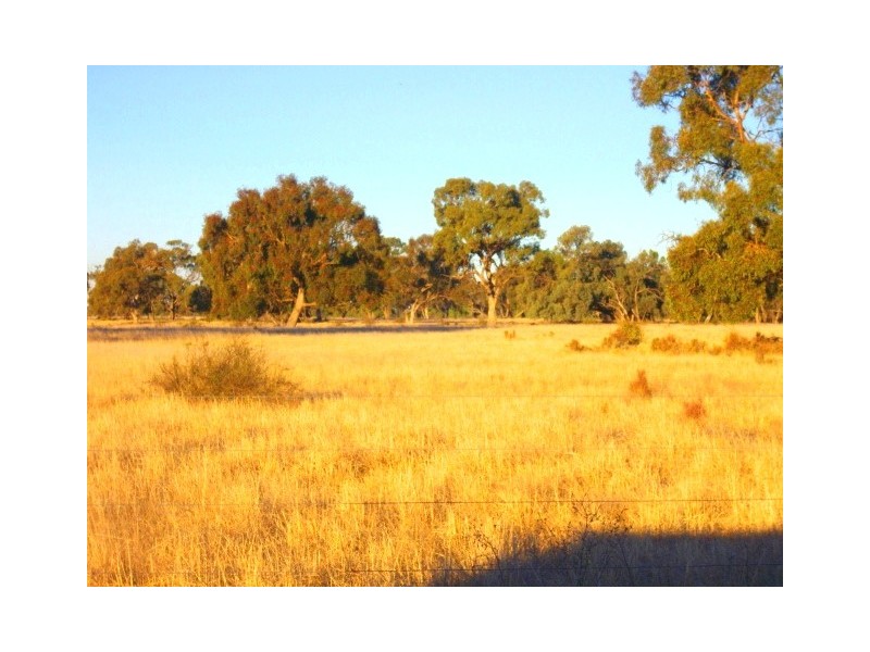 227 Barham Road, Wakool NSW 2710