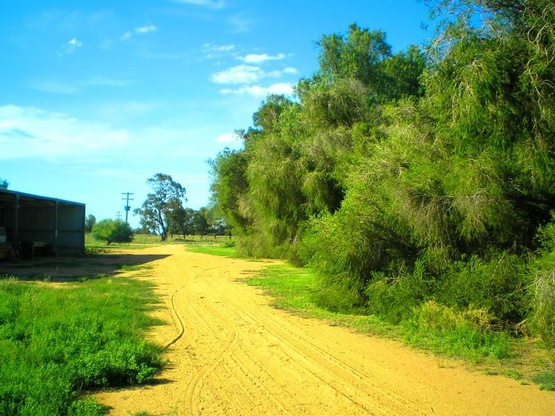 227 Barham Road, Wakool NSW 2710