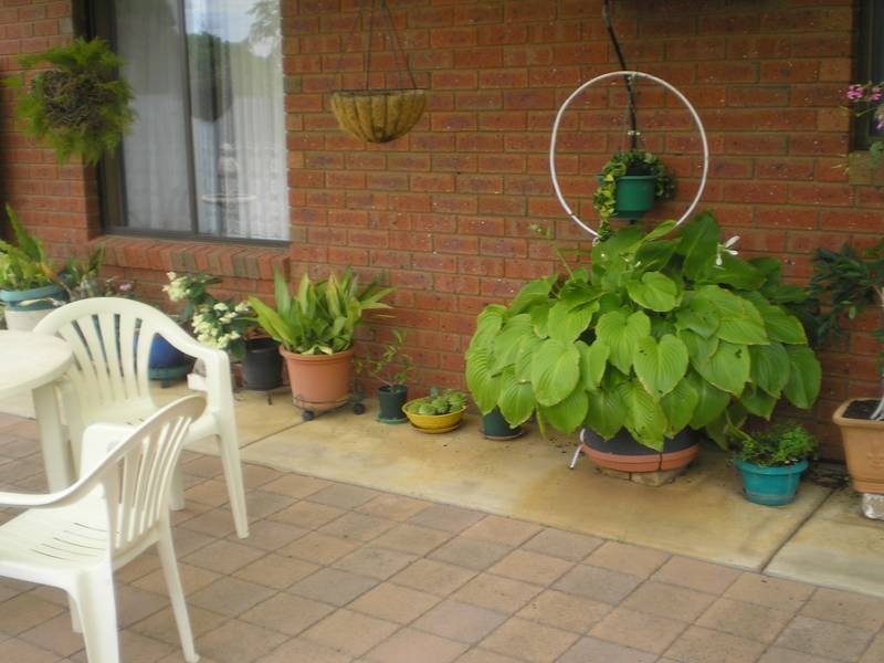 5/427 Wood Street, Deniliquin NSW 2710